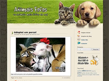 Animais Fofos